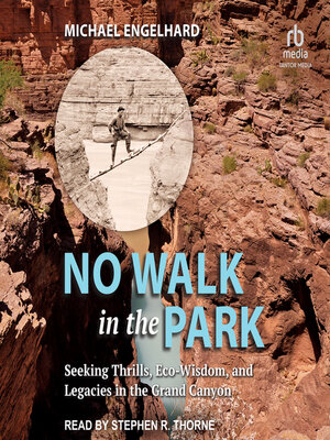 cover image of No Walk in the Park